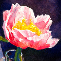 Sunlit Pink Peony