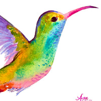 Colorful Delight: A Captivating Hummingbird Print