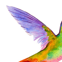 Colorful Delight: A Captivating Hummingbird Print