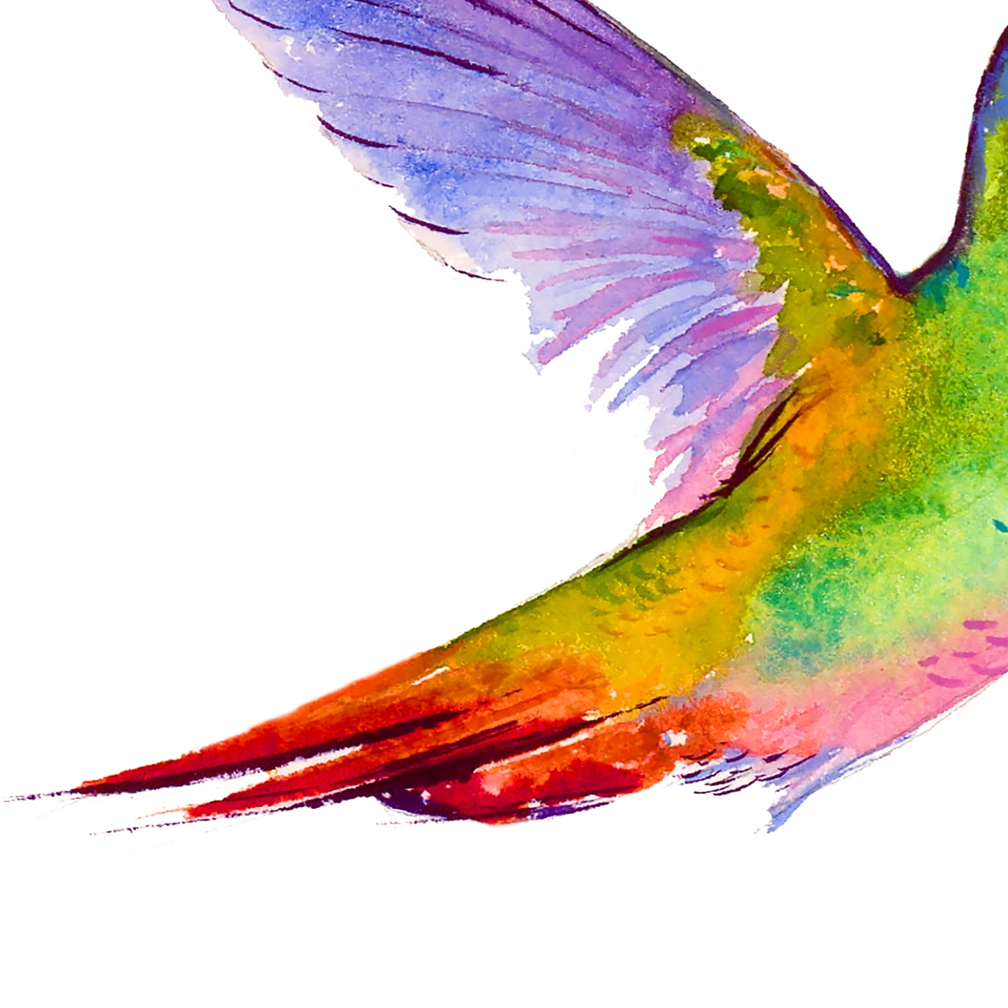 Colorful Delight: A Captivating Hummingbird Print