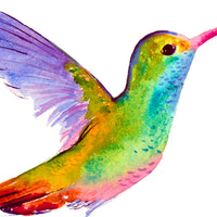 Colorful Delight: A Captivating Hummingbird Print