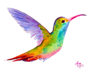 Colorful Delight: A Captivating Hummingbird Print