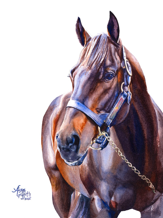 "Shadow" Equestrian Art Print White Background