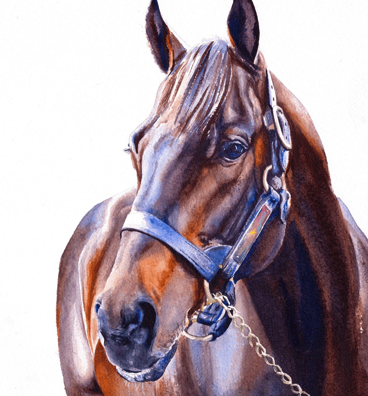 "Shadow" Equestrian Art Print White Background